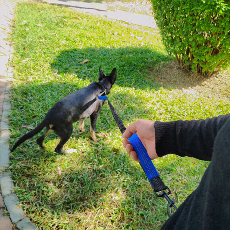 Adjustable Hands-Free Dog Leash Lead + Waist Bag Belt