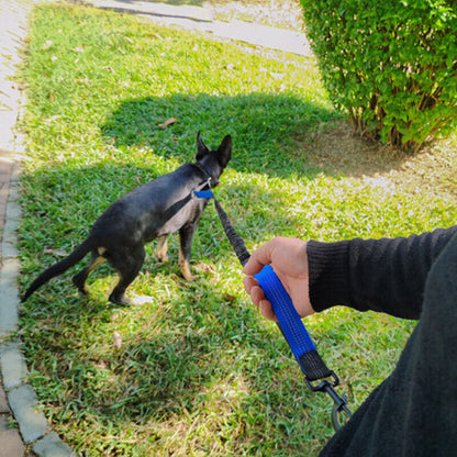 Adjustable Hands-Free Dog Leash Lead + Waist Bag Belt